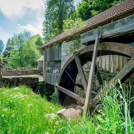 Appartement Koepplmuehle *